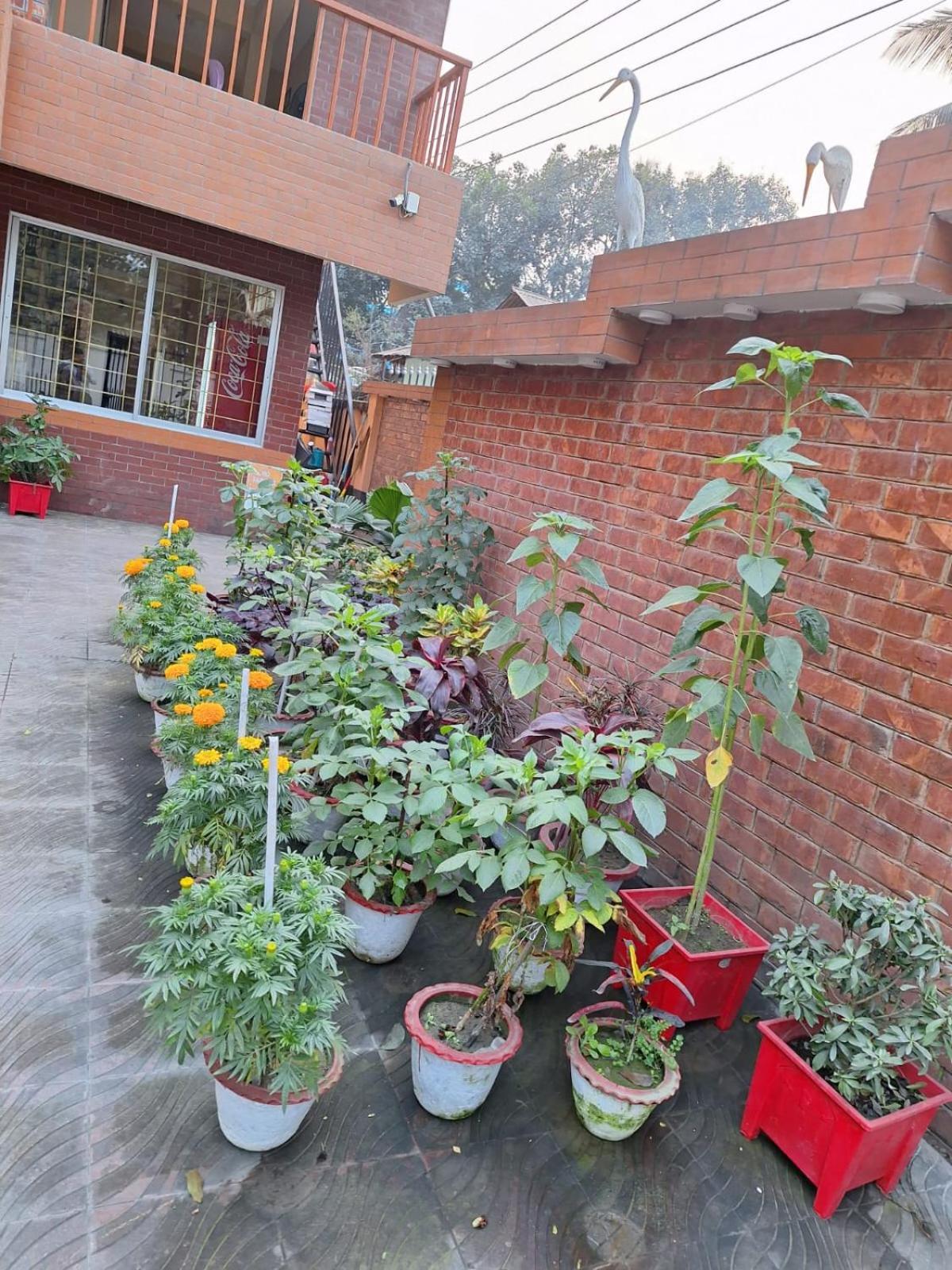 Little Rangpur Inn Bagian luar foto