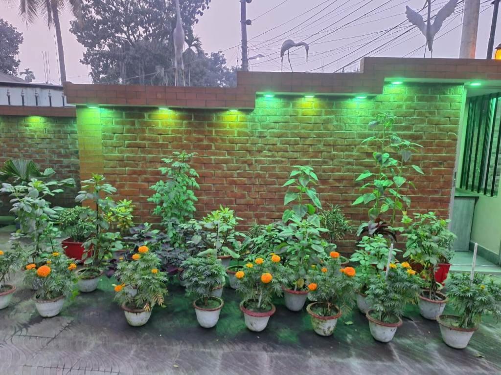 Little Rangpur Inn Bagian luar foto