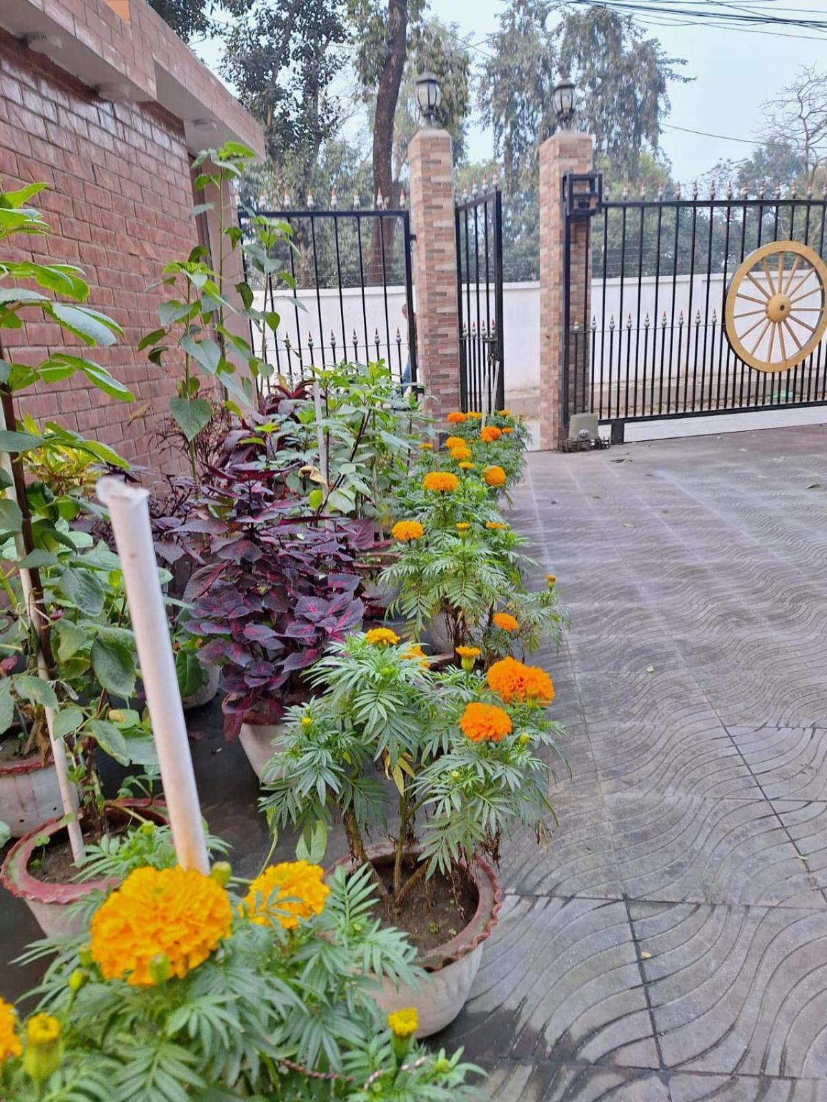 Little Rangpur Inn Bagian luar foto